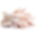 Frozen-Chicken-Feet-Frozen-farms-exports1.jpg