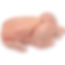 Whole-Chicken-Griller-frozen-farm-exporters3-600x600.jpg