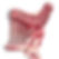 Beef-Hind-Quarter-frozen-farm-exports1.jpg