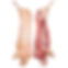 Frozen-Pork-Carcass.jpg