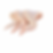 Frozen-3-Joint-Wing-Frozen-Farm-exporters2-600x600.png